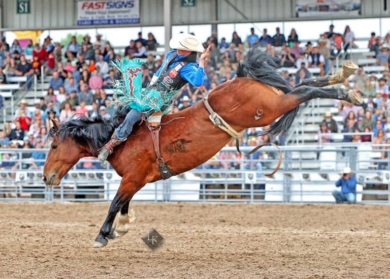 2023 Douglas County Fair & Rodeo keeps growing | TheFencePost.com