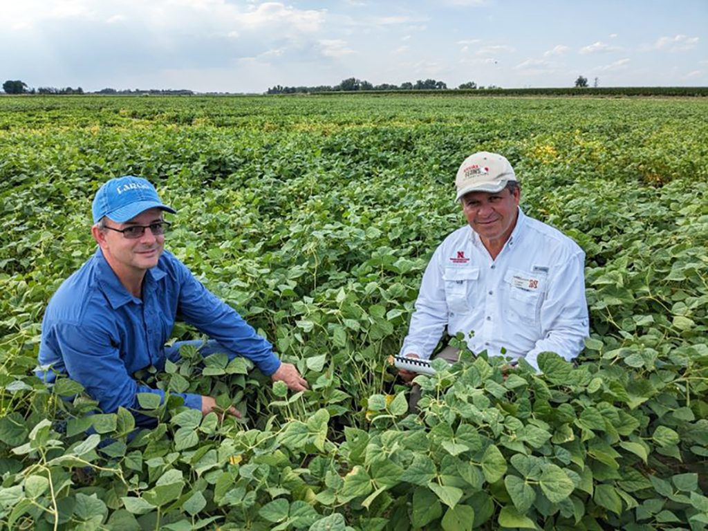 Dry bean breeders collaborate on climate-savvy bean - Vimarsana News