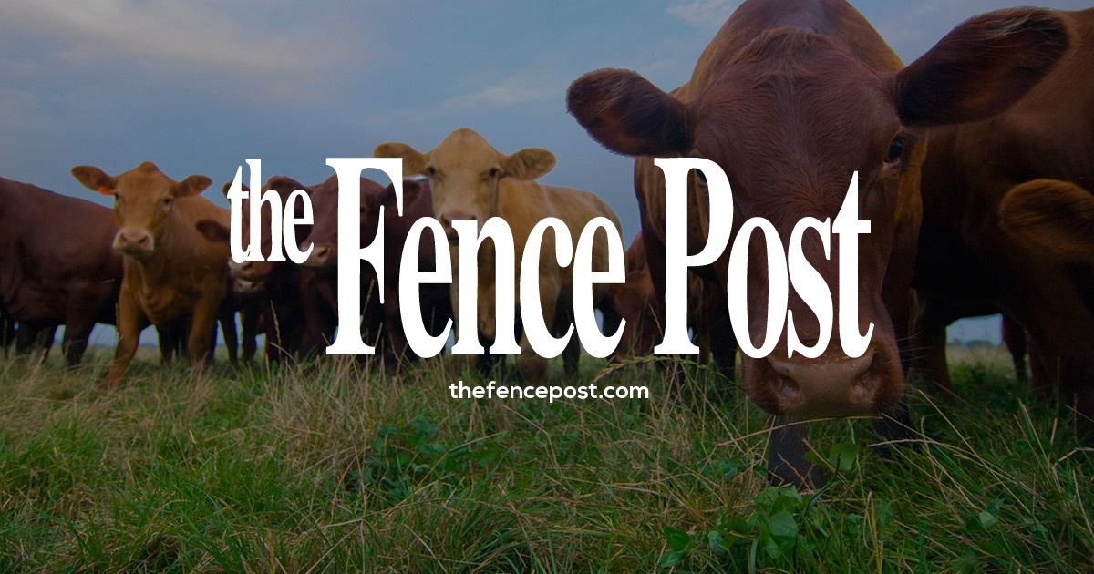 www.thefencepost.com