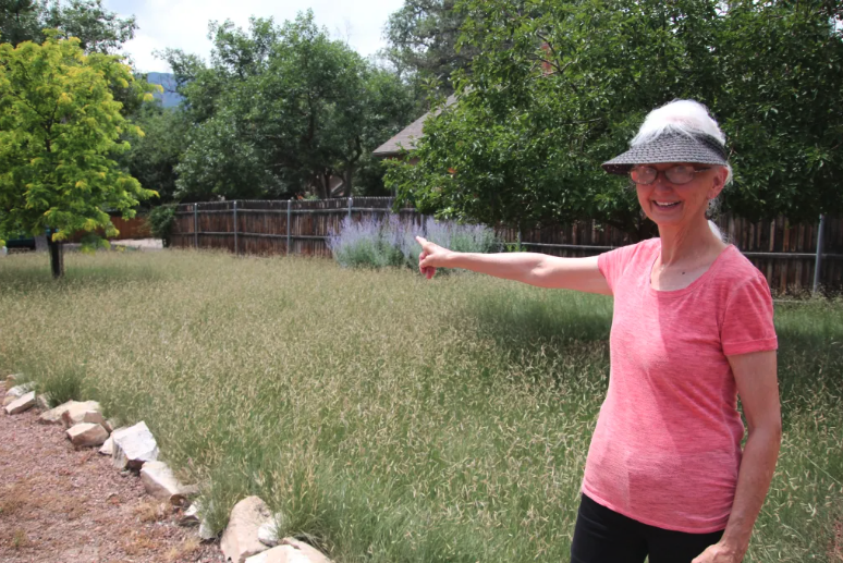 Colorado squeezing water from urban landscapes - Vimarsana News