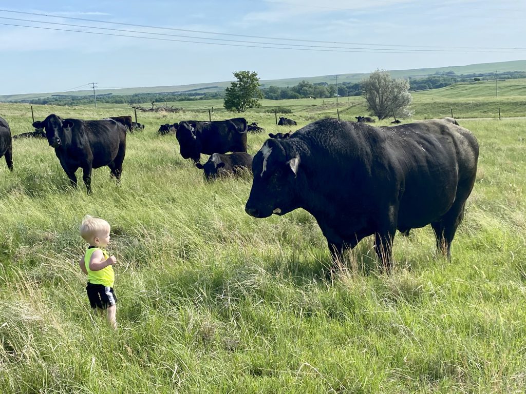 Breeder’s Connection 2024 Triangle J Ranch