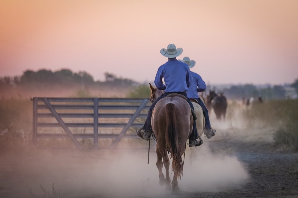 Breeder’s Connection 2024 | Jamison Ranch Herefords and Quarter Horses ...