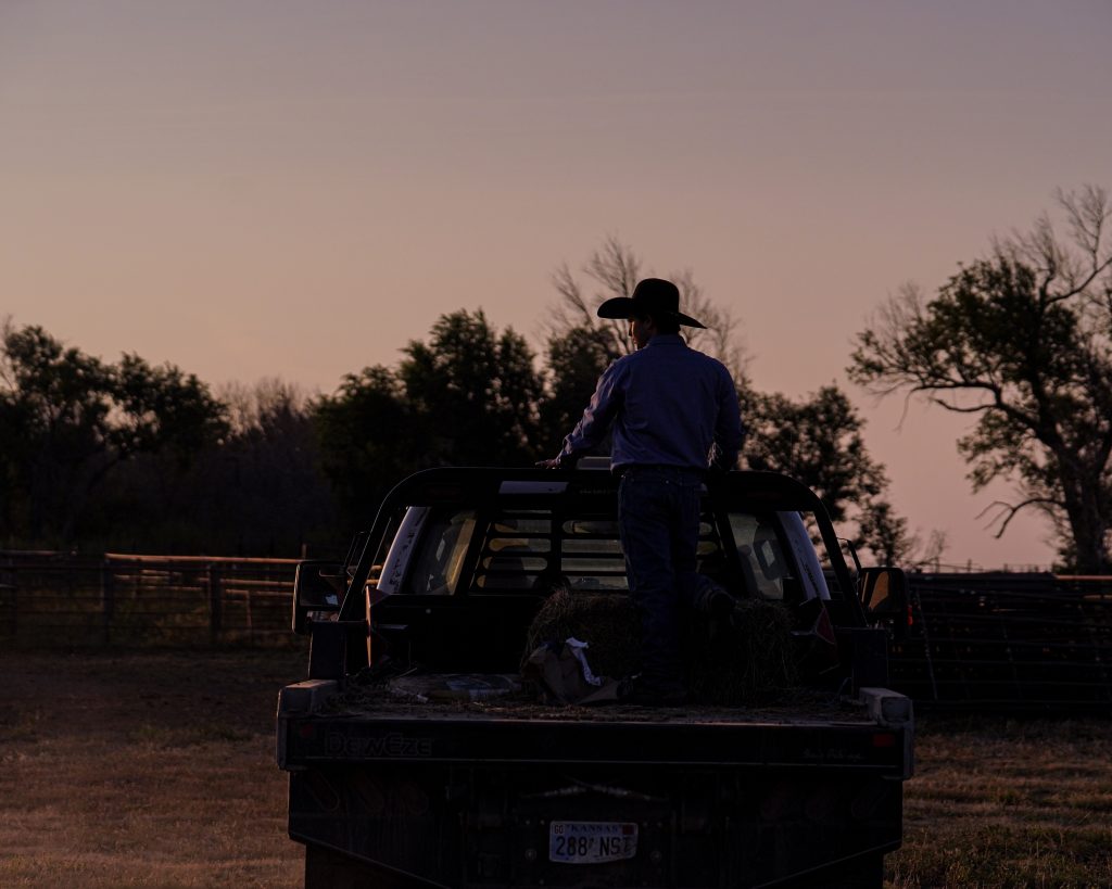 Breeder’s Connection 2024 | Jamison Ranch Herefords and Quarter Horses ...