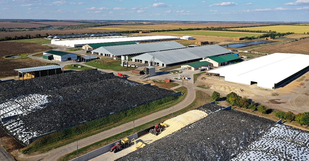 Large Ukrainian dairy close to the front line battles to survive - Vimarsana News