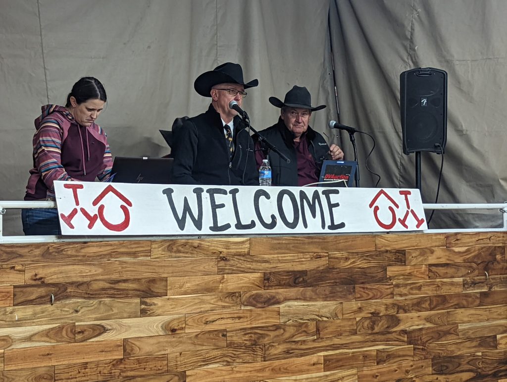 Graff Cattle Bull Sale