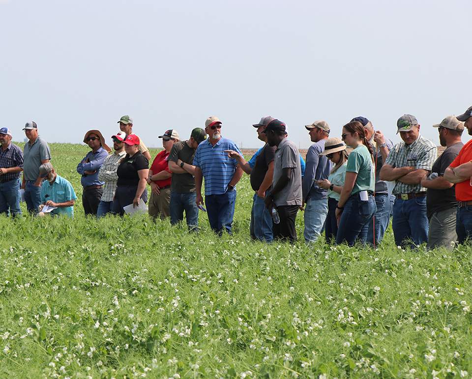 Soil Health Exchange brings answers to grower's questions - Vimarsana News