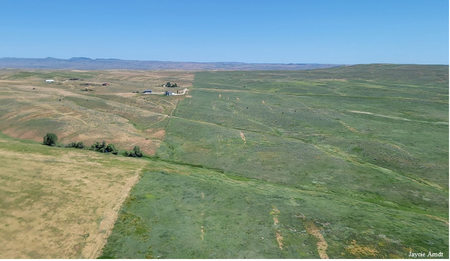 Registration open for virtual invasive grass workshop - Vimarsana News