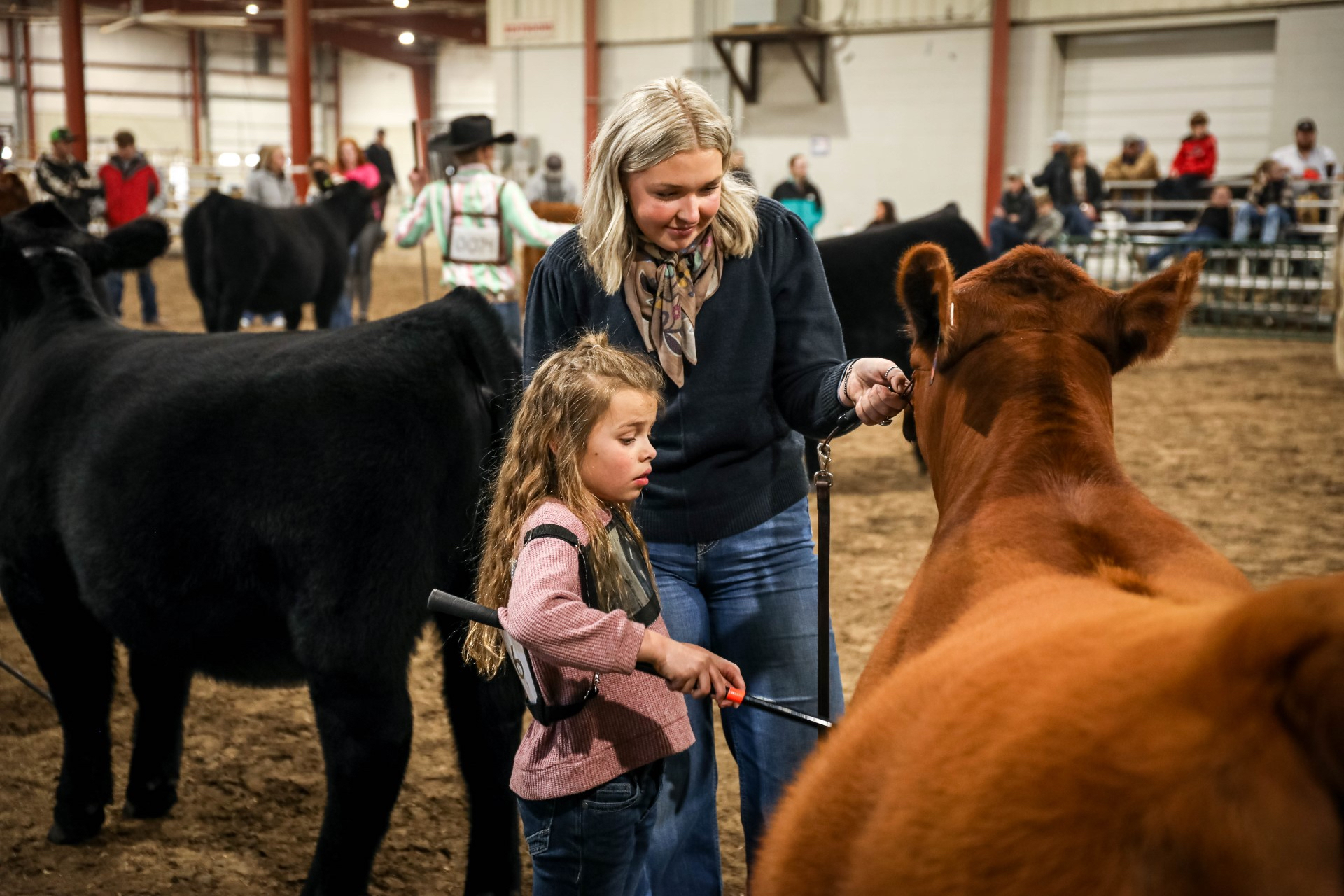 Amherst FFA to host 17th Annual MidNebraska Spring Beef Show