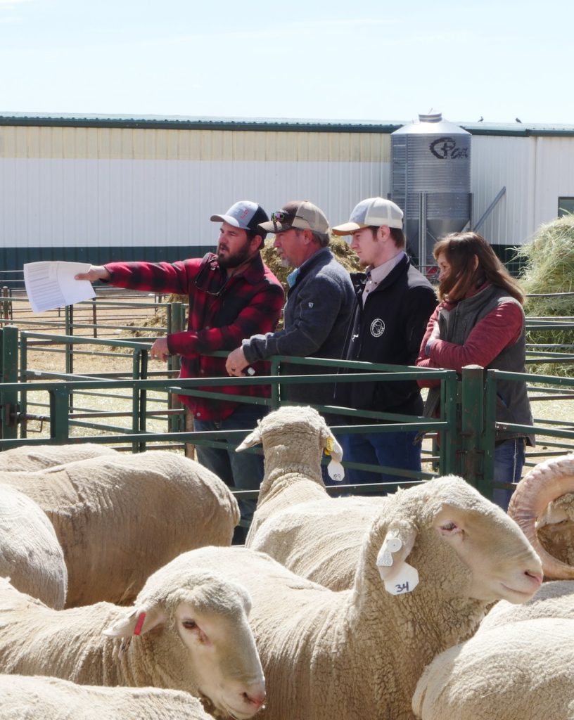 UW's Laramie Research and Extension Center to host Ram Test Field Day April 13 - Vimarsana News
