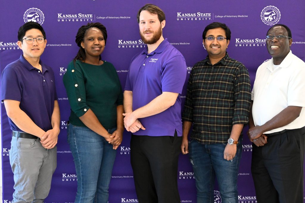K-State researcher has $2.6M in new support to fight deadly African swine fever - Vimarsana News