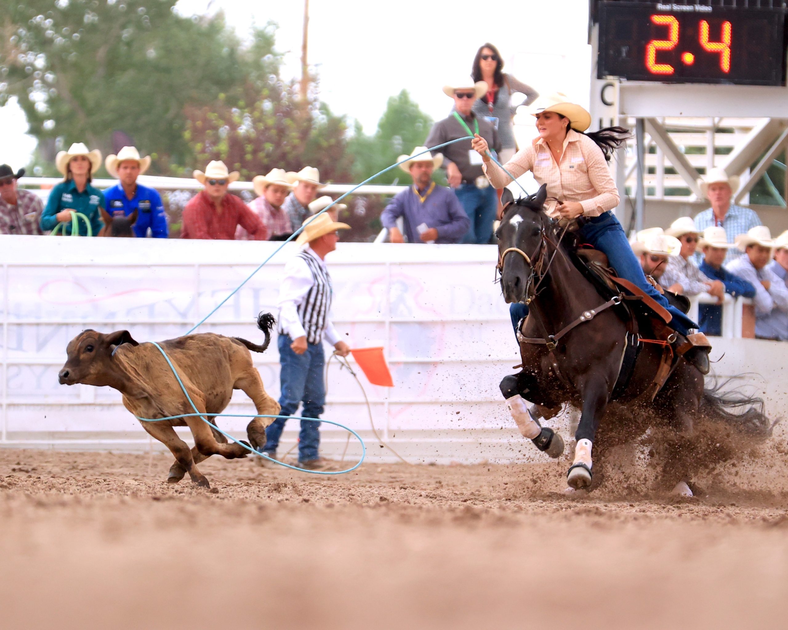 All-around race heads to Championship Sunday at CFD Rodeo ...