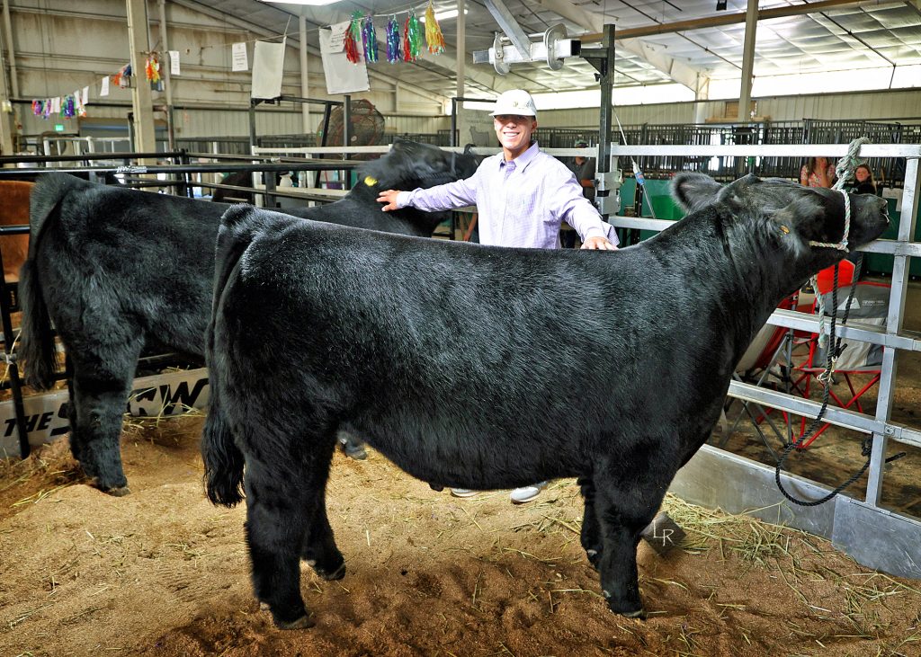 The luckiest Knight: Teen wins Grand Champion and Reserve Grand ...