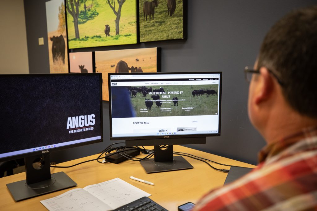 Redesigned Angus.org creates space for commercial cattlemen, members ...