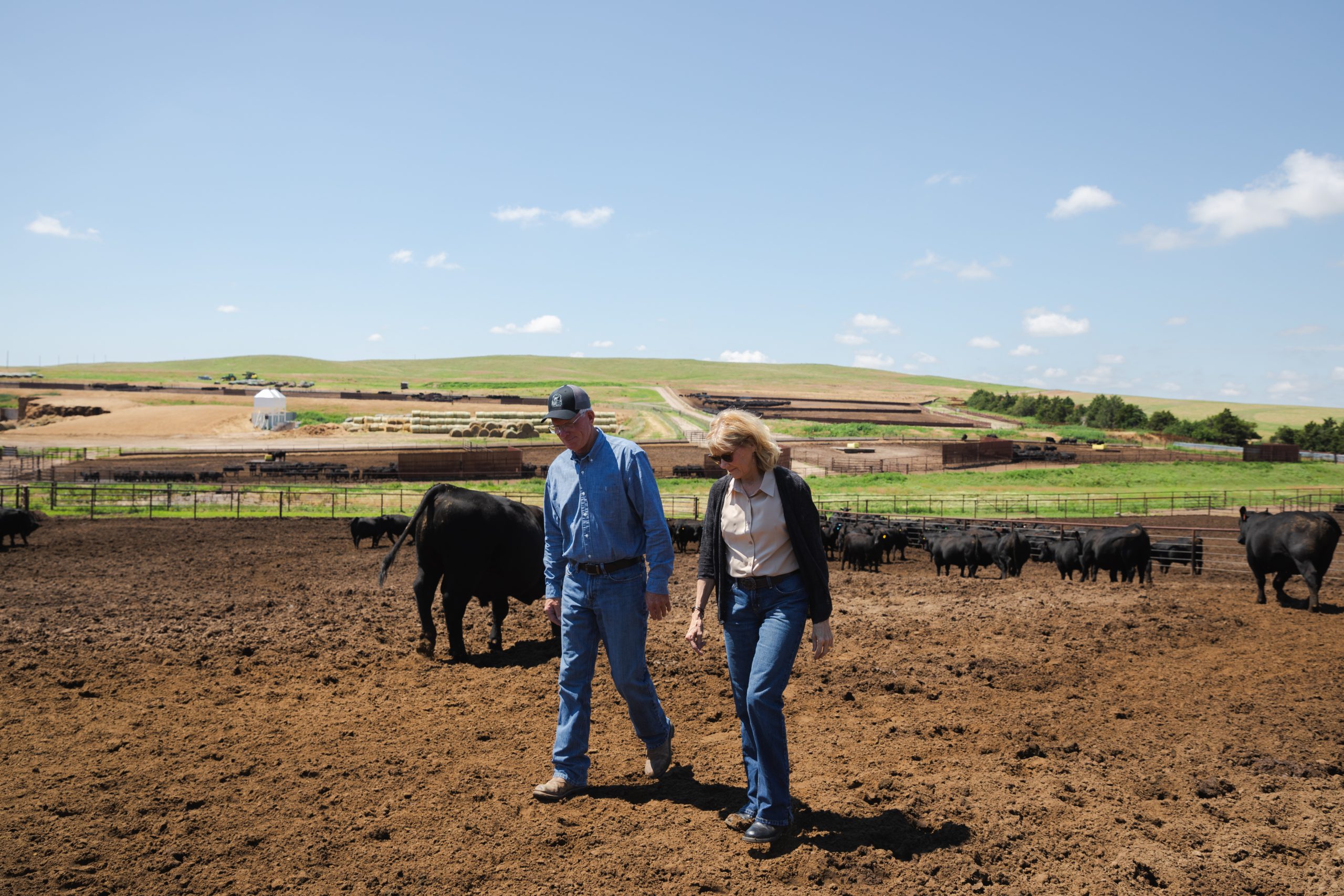 Connealy Angus recognized by CAB for commitment to excellence ...