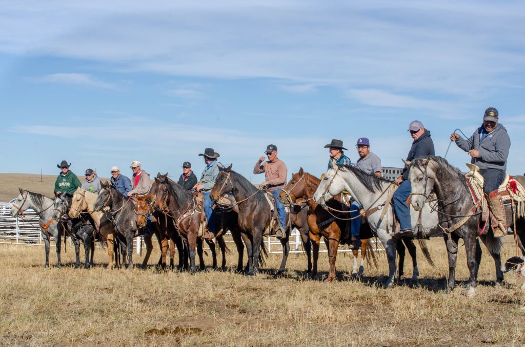 Oreaches Ranch Run Breeder’s Connection 2025 | Running Creek Ranch | TheFencePost.com