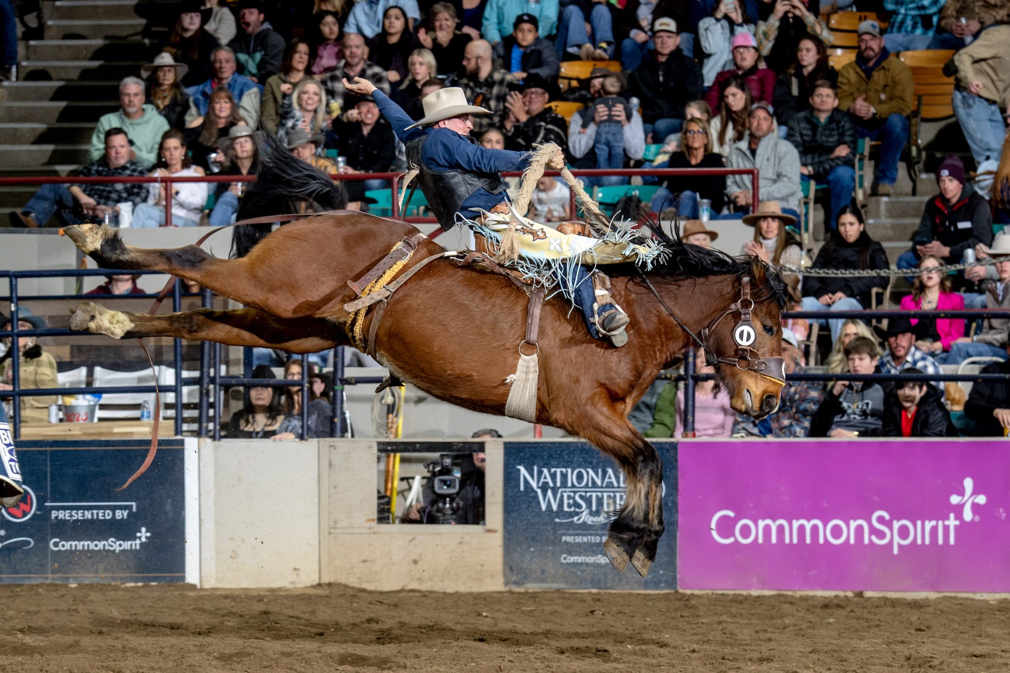 NWSS Rodeo championships on the line | TheFencePost.com
