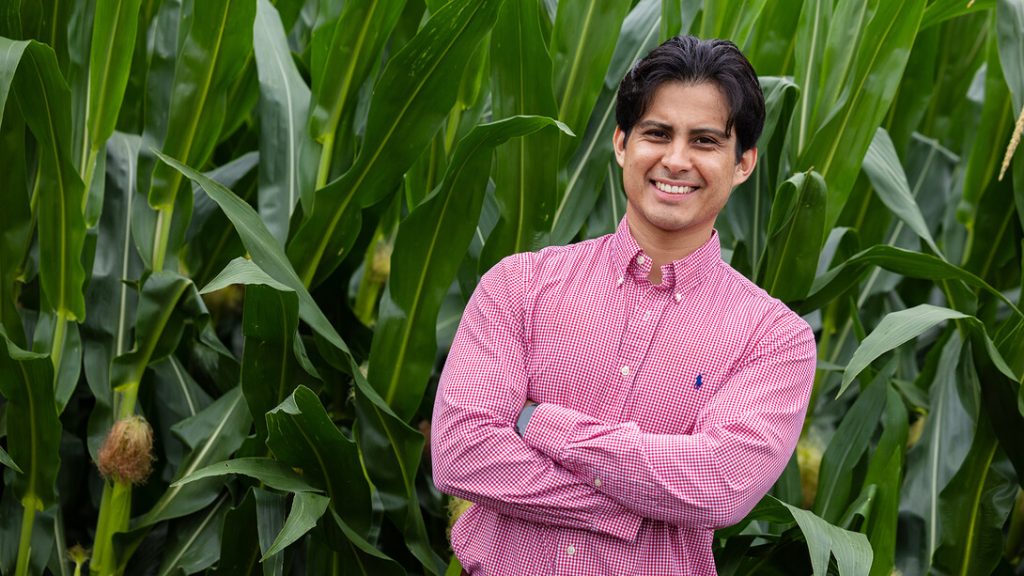 Nebraska’s corn expertise helps crack code in journey to revolutionize ag