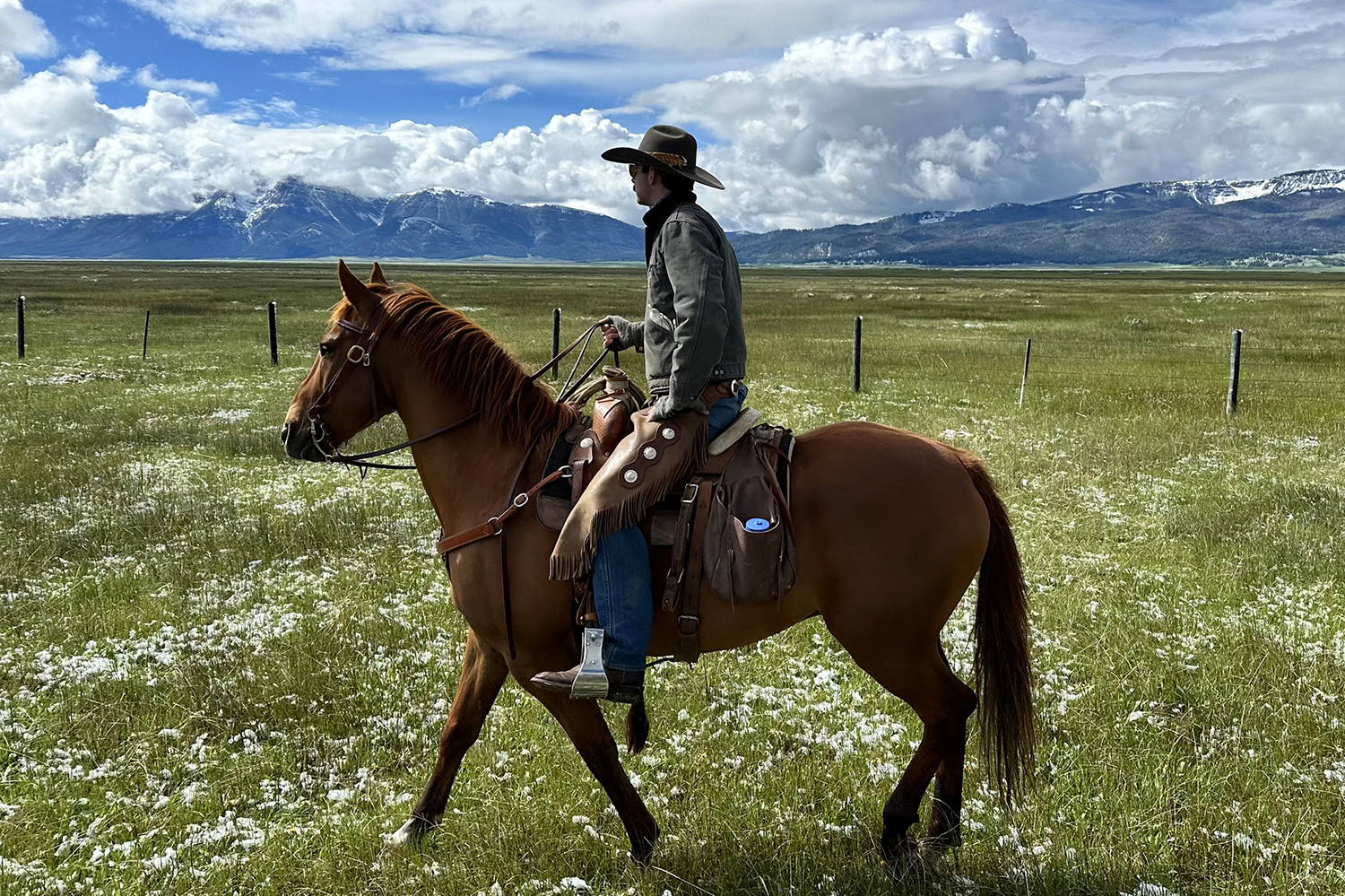 Range Riders Silvergate CDA’s range riders adding value for producers | TheFencePost.com