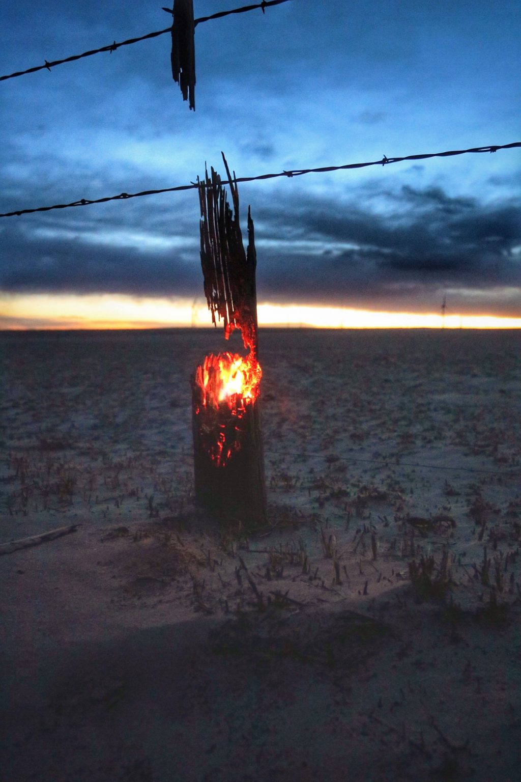USDA offers disaster assistance to ag producers in Colorado impacted by ...