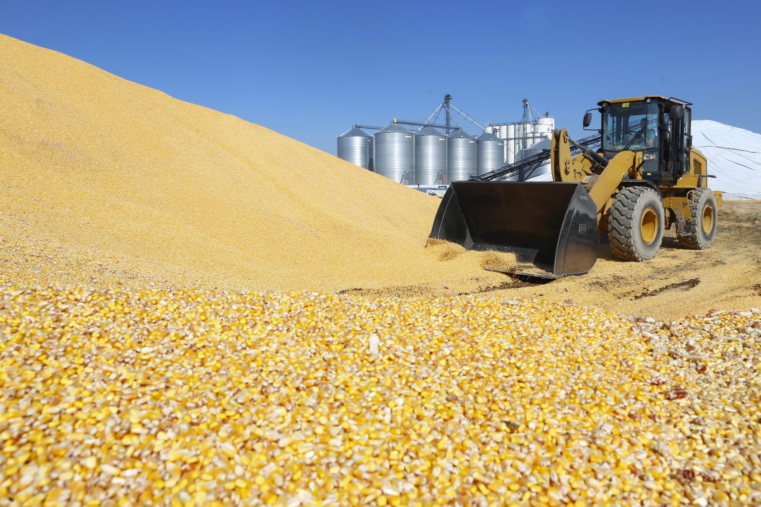 Record harvest, uneven exports poised to scramble grain storage and ...