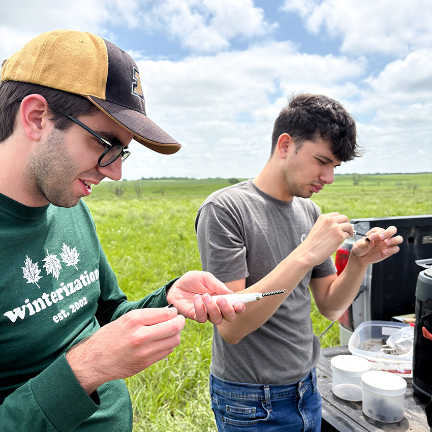 K-State joins national effort to prepare next generation of veterinary entomologists