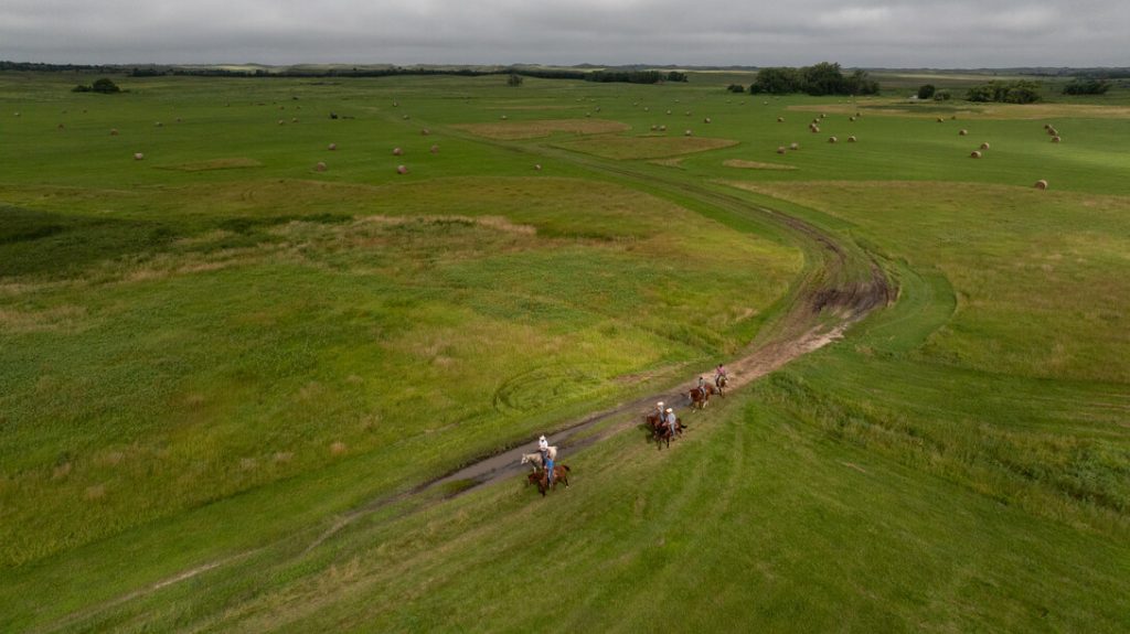 Cook champions Nebraska grasslands in new PSA campaign