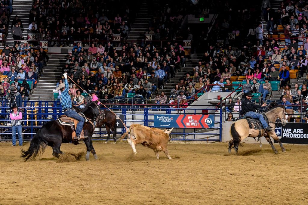Running Rodeo Stock Professional rodeo underway at National Western Stock Show ...