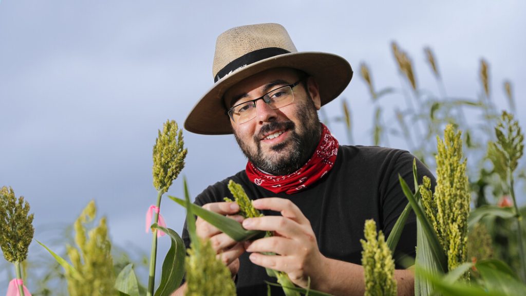 National Academy of Sciences salutes Schnable for pioneering work