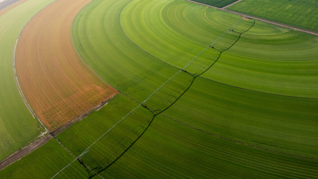 CSU project uses AI to turn soil data into actionable insights for farmers 