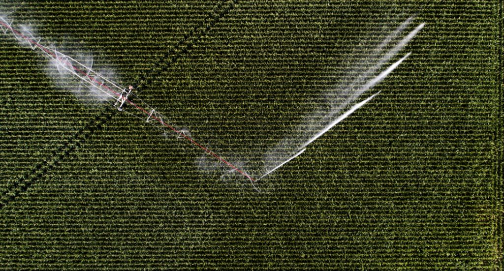 Nebraska Master Irrigator invites growers to discuss nitrogen challenges in North Platte