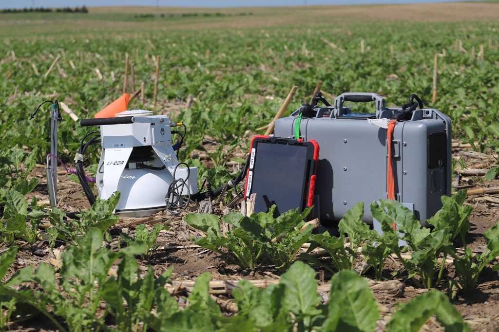 Optimizing nitrogen management for sustainable and profitable sugar beet production