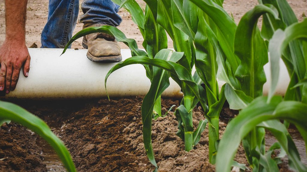 Drought outlook and risk management webinar offered for Nebraska ag producers