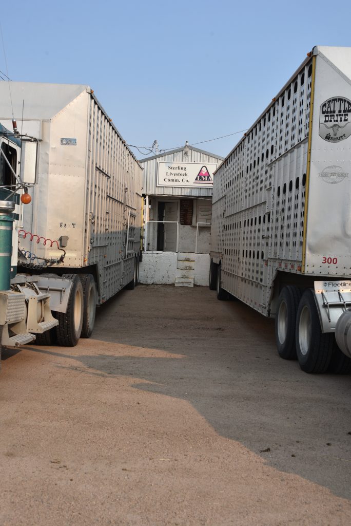 Careers in Agriculture: Livestock Hauling