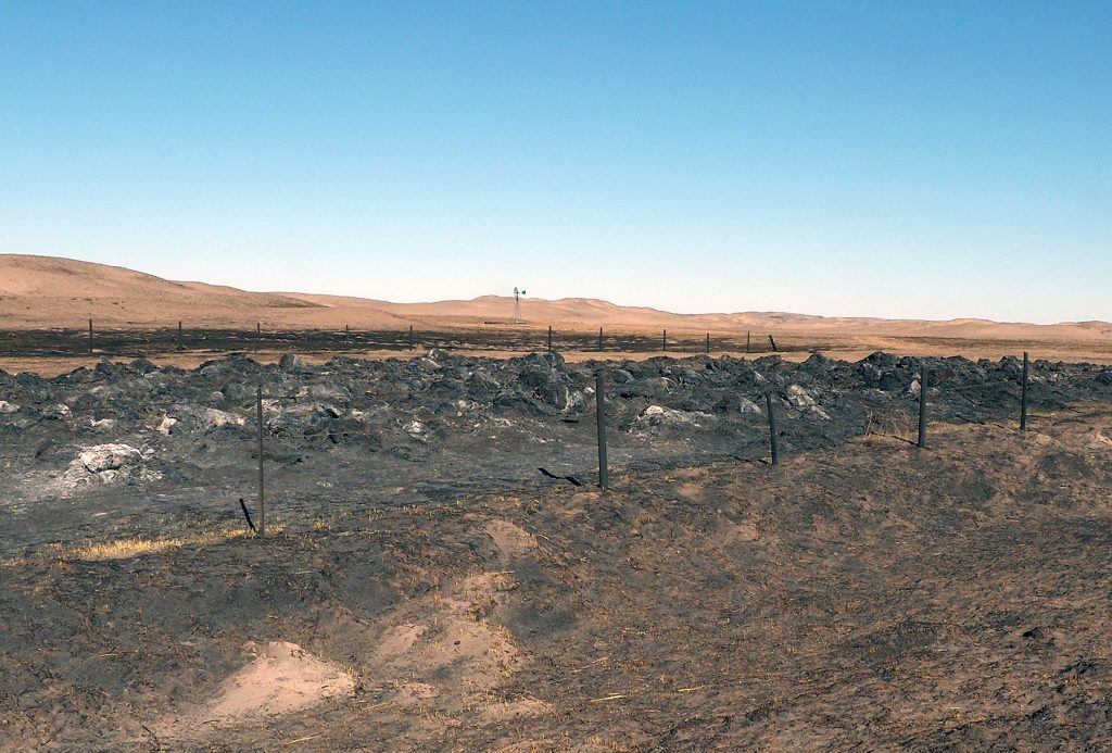 Helping young children recover after natural disasters