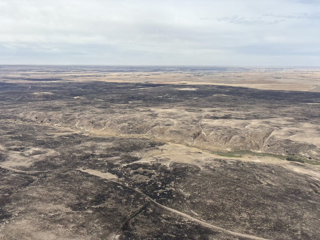 Standing by producers through wildfire and storm recovery