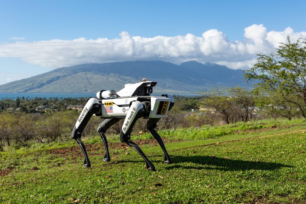 High-tech robotic dogs now on patrol guarding valuable corn crops