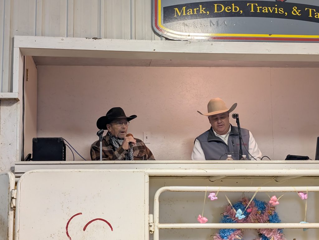 Pieper Red Angus 36th Annual Performance Leader Production Sale