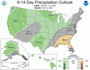 Western snowpack record-low, hopes resting on April and El Nino moisture