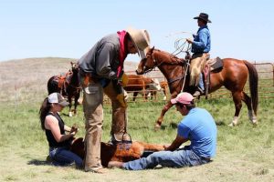 Nebraska senators advance amendment to brand bill