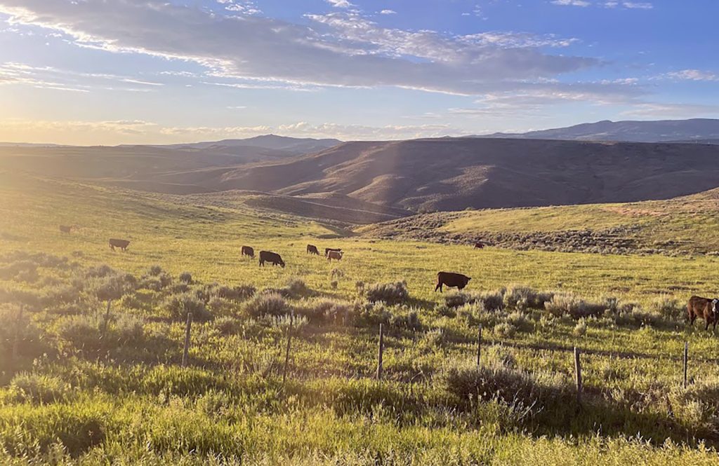 CSU sets drought workshops for farmers and ranchers across Colorado