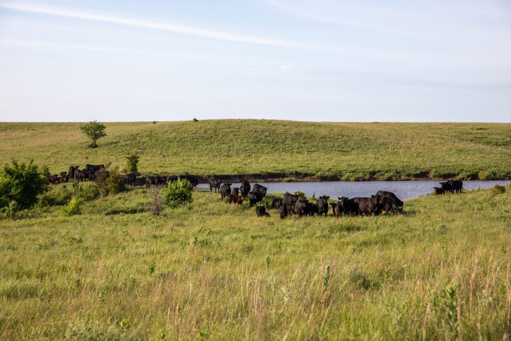 Certified Angus Beef bringing unique rancher event to Kansas