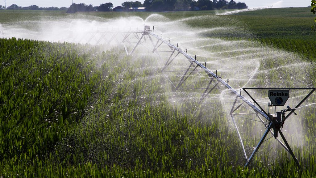 Husker research provides irrigation rules to save water, increase profits
