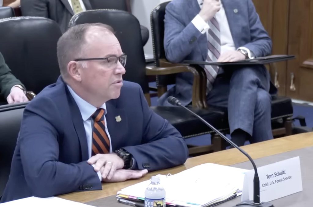 Forest Service plans reorganization without congressional approval   