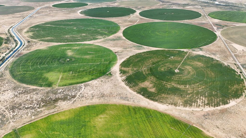 New study details changing U.S. irrigated agriculture, viability strategies