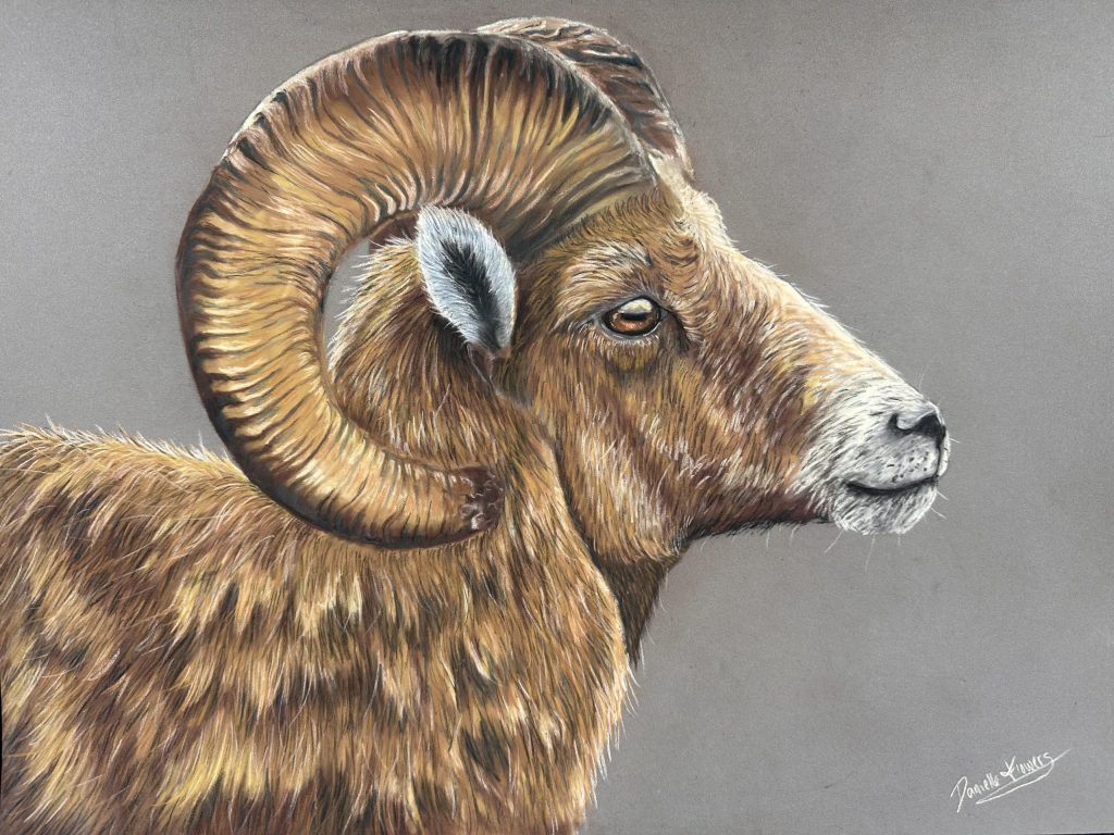 AgriCULTURE 2026 | Art and animal care: How “Doc” Flowers blends
