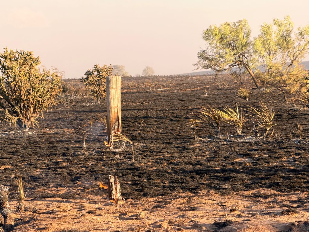 New Mexico’s Line Fire burns 30,000 acres