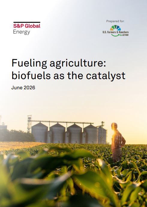 Report: Biofuels market needed as food demand slows