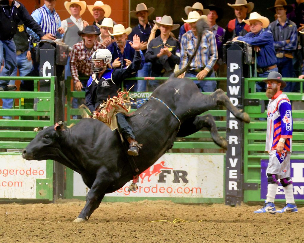 Bronc riding brothers share CNFR experience | TheFencePost.com