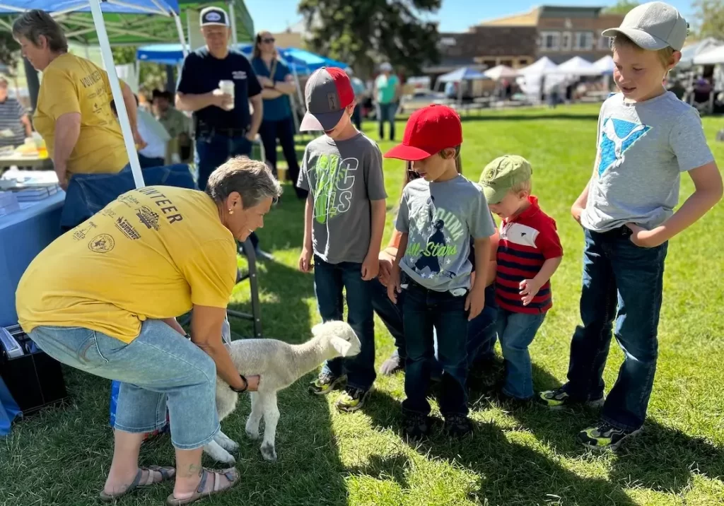 Powell to host Wyoming Sheep and Wool Festival July 31-Aug. 1