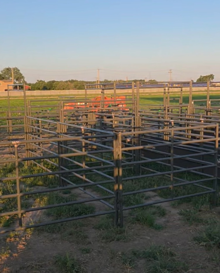 new-chutes-pens-improve-safety-at-rodeo-arena-thefencepost